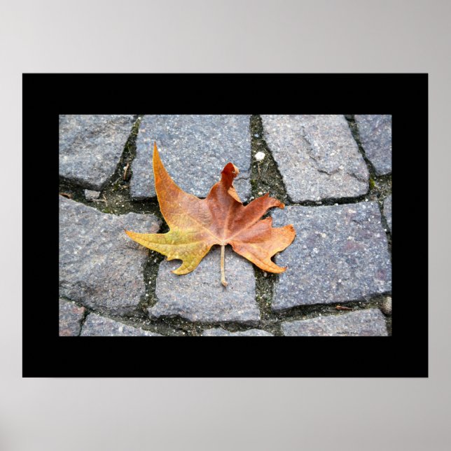 Poster London Plane Tree Leaf (Frente)