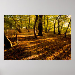 Poster London Woods