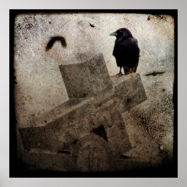 Póster Lone Crow (Frente)