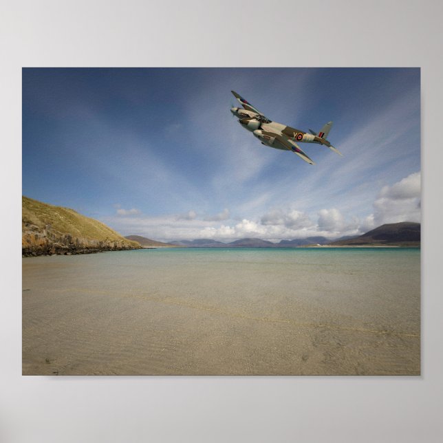 Poster Lone Mosquito" (Frente)