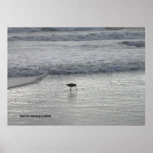 Poster Lone Sandpiper na praia de Watsonville
