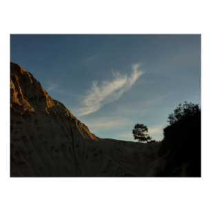 Póster Lone Torrey Pine California Sunset Landscape