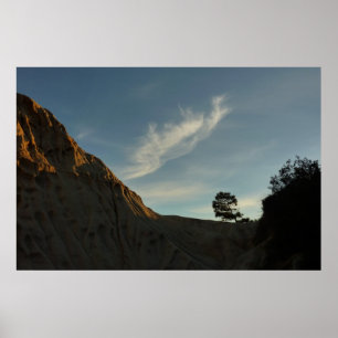 Póster Lone Torrey Pine California Sunset Landscape