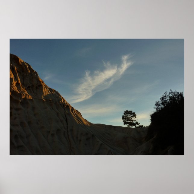 Póster Lone Torrey Pine California Sunset Landscape (Frente)
