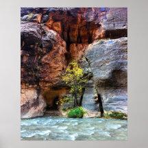 Lone Tree Zion National Park Foto do Rio Virgem
