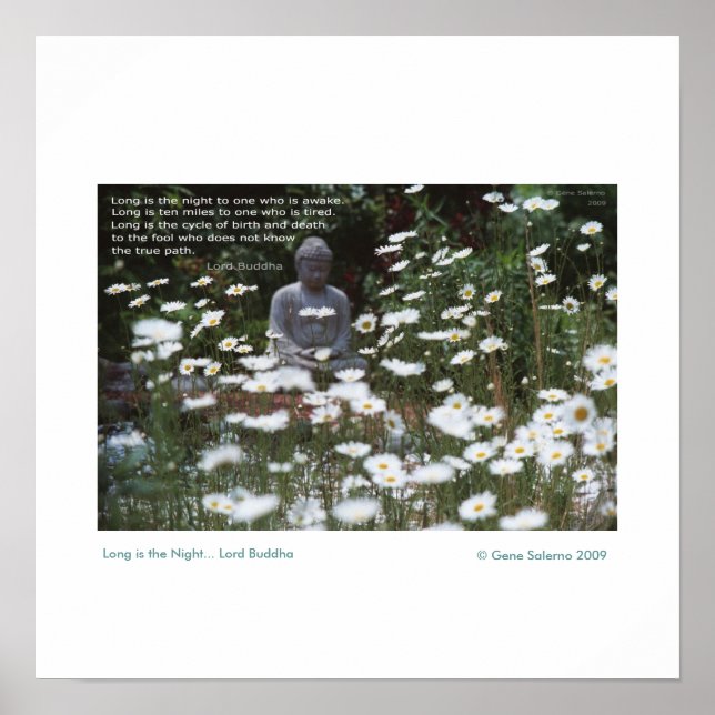 Poster Longa é a Noite (Frente)