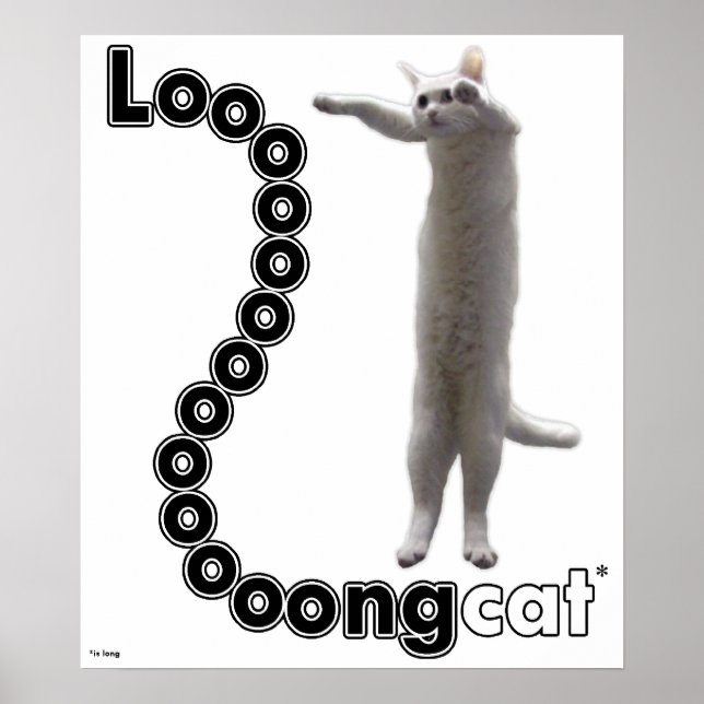 Poster Longcat é longo (Frente)
