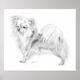 Poster Longcoat Chihuahua Champion