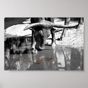 Poster Longhorn and Goldfish