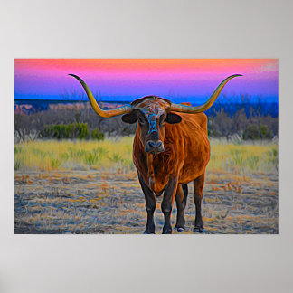 Poster Longhorn at Sunset