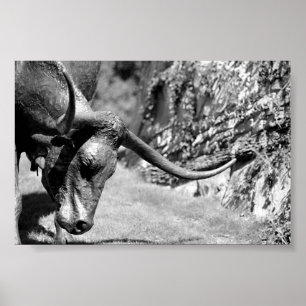 Poster Longhorn Eating