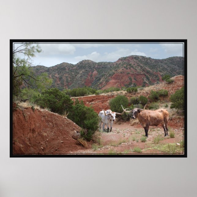 Poster Longhorn Ravine - 60x40 (Frente)
