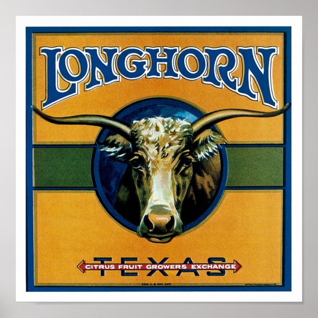 Póster Longhorn Texas (Frente)