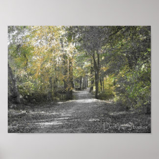 Poster Longo Caminho