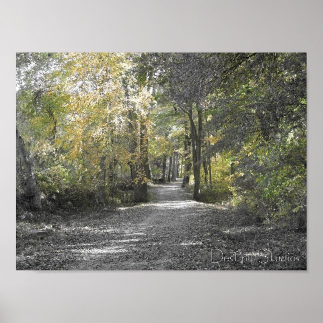 Poster Longo Caminho (Frente)