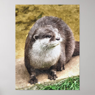 PÓSTER LONTRA