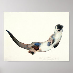 Póster Lontra curiosa 2003