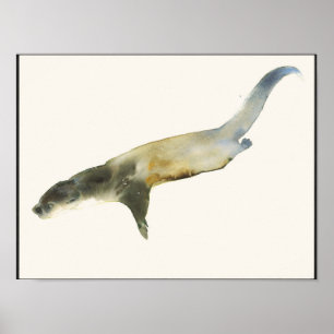 Poster Lontra européia