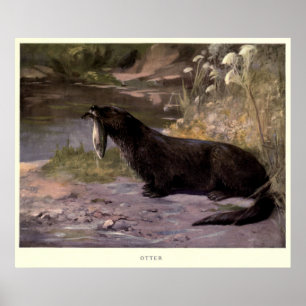 Póster Lontra Pintura do vintage (1909)