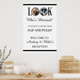 Poster Look Who's Married Dog or Pets Photo
