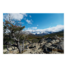 Póster Looking towards Mt Fizroy