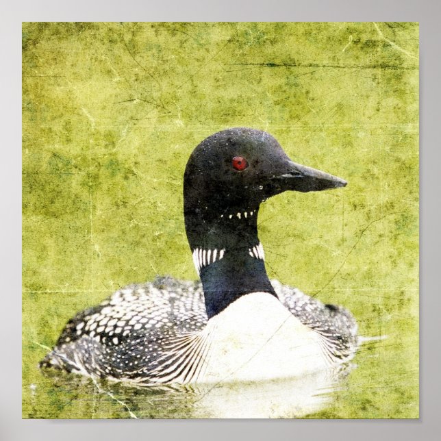 Póster Loon (Frente)