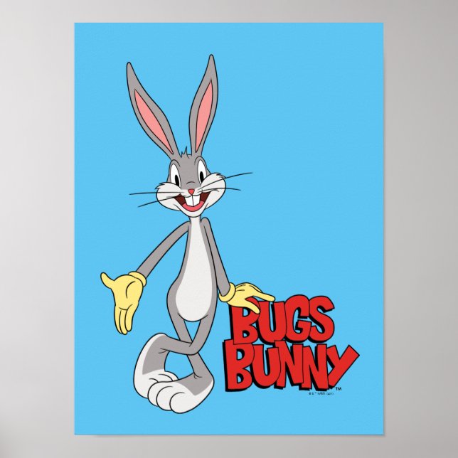 Poster LOONEY TUNES™ - Raios retroativos | INSETOS BUNNY™ (Frente)