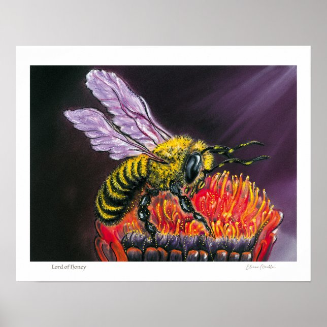 Poster Lord of Honey (Frente)