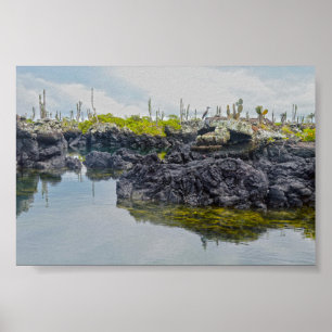 Poster Los Tuneles, Ilhas Galápagos, Equador