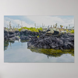 Poster Los Tuneles, Ilhas Galápagos, Equador