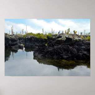 Póster Los Tuneles nas Ilhas Galapagos