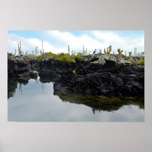 Póster Los Tuneles nas Ilhas Galapagos (Frente)