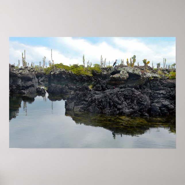Poster Los Tuneles nas Ilhas Galapagos (Frente)