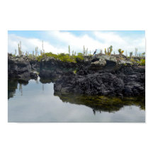 Los Tuneles nas Ilhas Galápagos