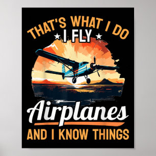 Poster Lote de Aviões Aeronaves - É Isso Que Eu Faço Eu V