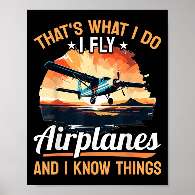 Poster Lote de Aviões Aeronaves - É Isso Que Eu Faço Eu V (Frente)