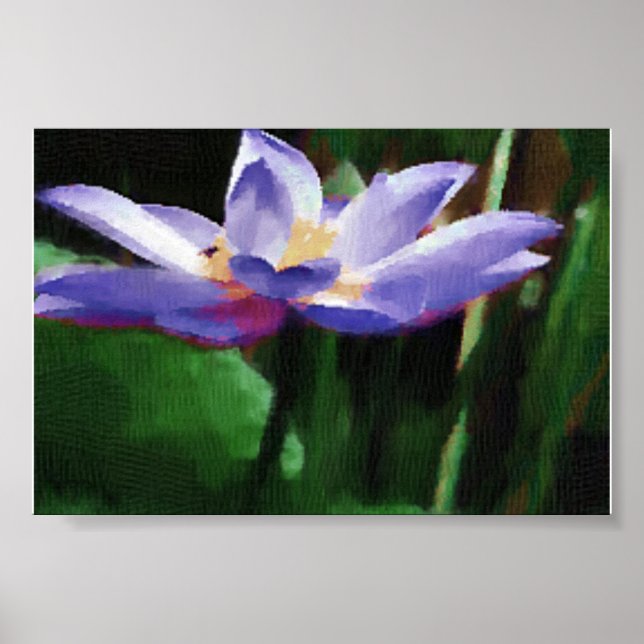 Póster lótus (Frente)