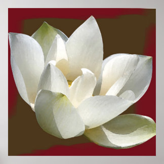 Póster lotus1