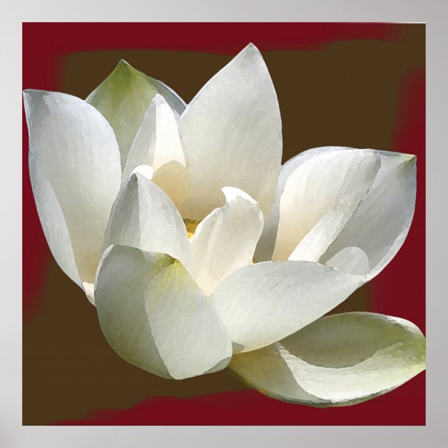 Póster lotus1 (Frente)