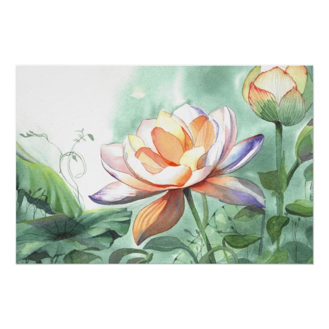Póster Lótus Aquarela (Frente)