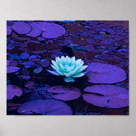 Póster Lotus Flower Purple Blue Turquoise Floral Pond Zen