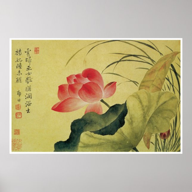 Póster Lotus Flower, Yun Shouting (Frente)