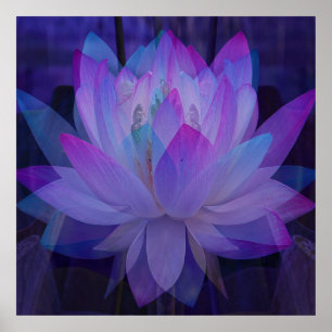Poster Lotus no azul…