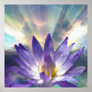 Poster Lotus Roxo