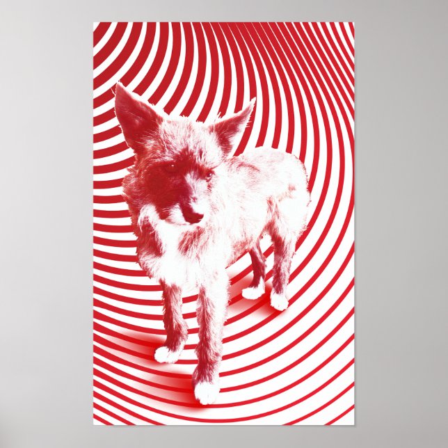 Póster louca hazie (Frente)