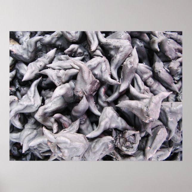 Poster Loucos de Buffalo - Água Caltrop (Frente)