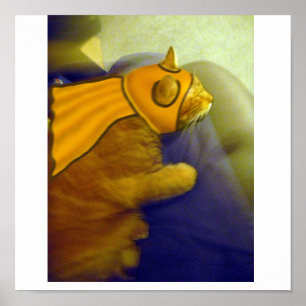 Póster Louie o gato do gengibre como o capitão Me-Ow