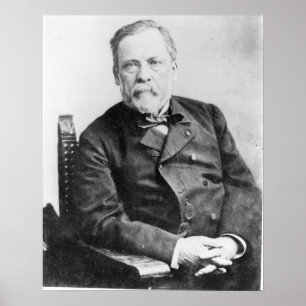 Póster Louis Pasteur