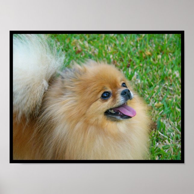 Póster Loura-branca (Frente)