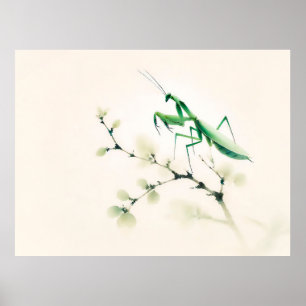 Poster Louva-a-deus Tinta Chinesa em Ginkgo